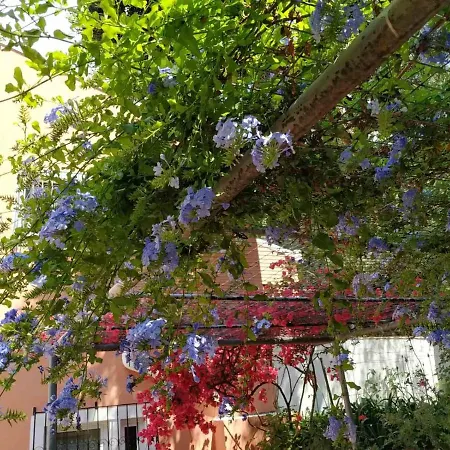 Stefanos By Hotelius Appartement *